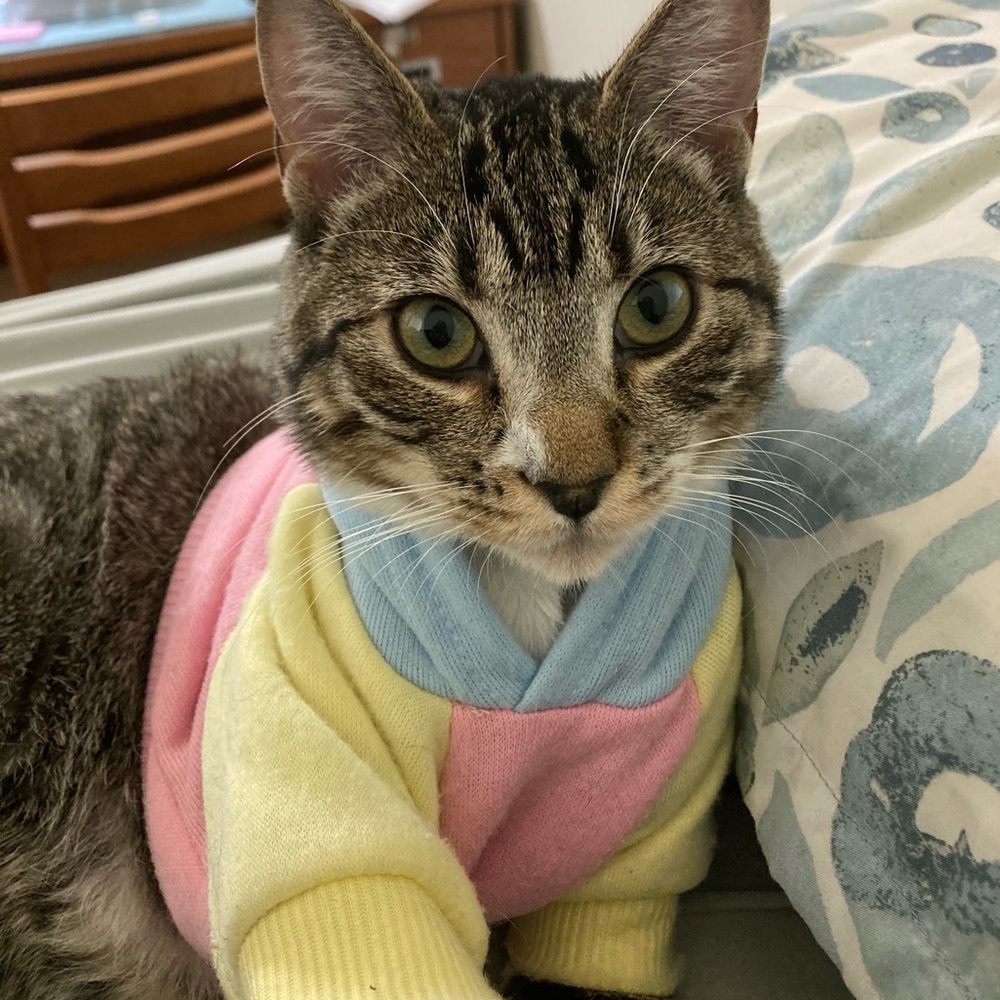 Meet your Posher, Vanessa